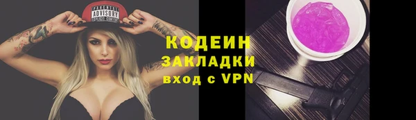 сатива Балахна