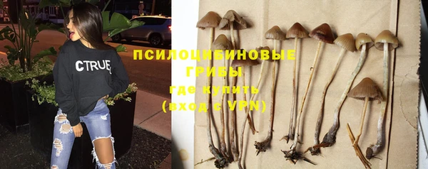 трава Баксан