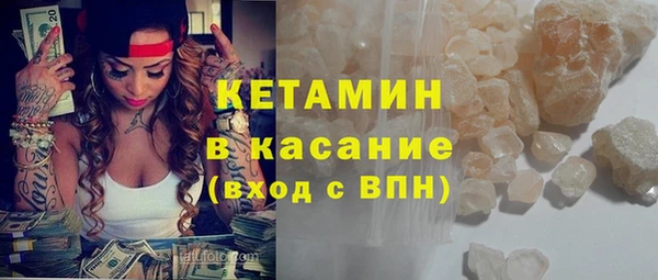 сатива Балахна