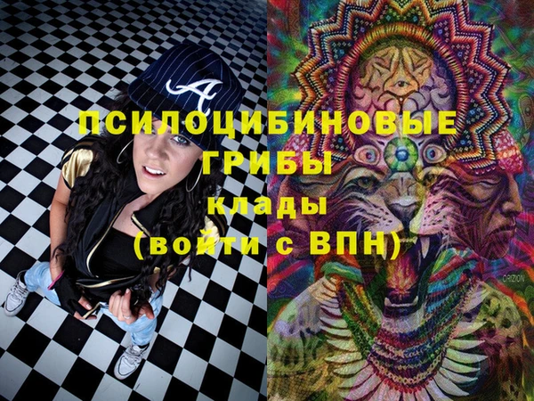 дживик Покачи