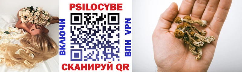 Псилоцибиновые грибы Psilocybine cubensis  Тулун 
